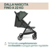 05087138750000_575_087138_575_URBINO_Evergreen_IT3_1280x1280 Passeggino Urbino - Evergreen